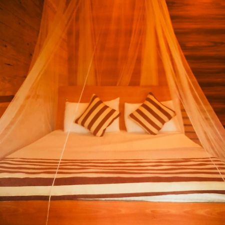 Talblick Homestay 엘라 외부 사진