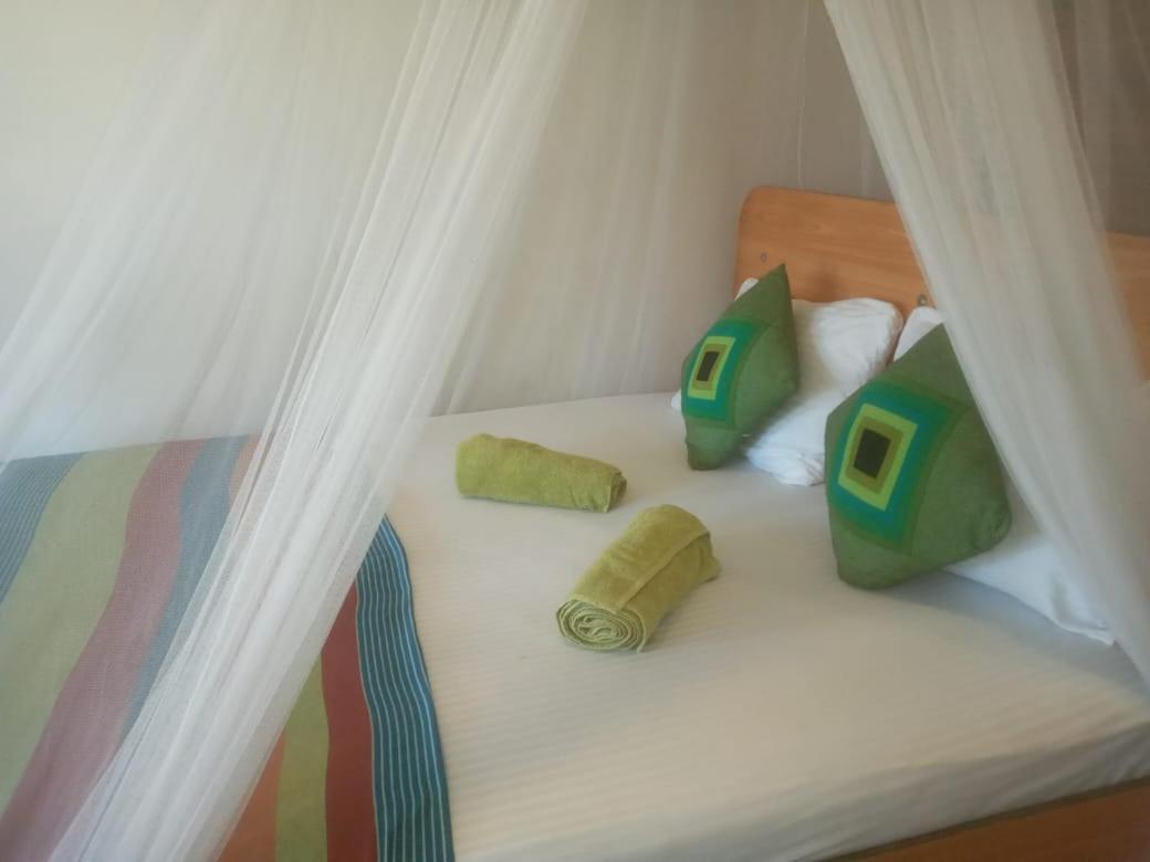Talblick Homestay 엘라 외부 사진