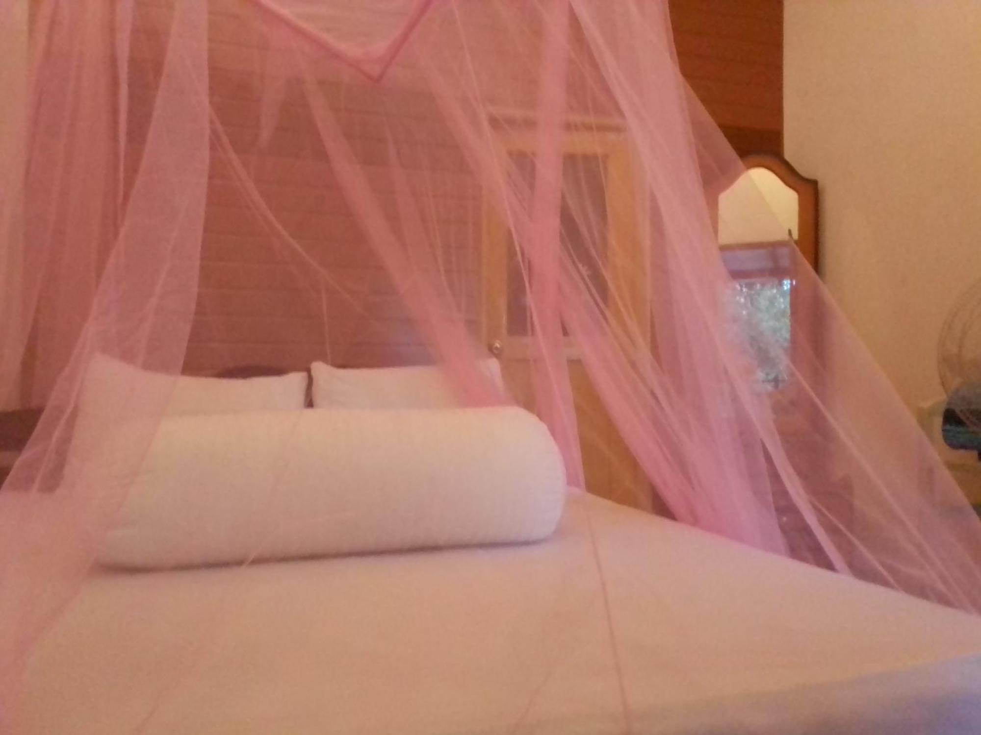 Talblick Homestay 엘라 객실 사진