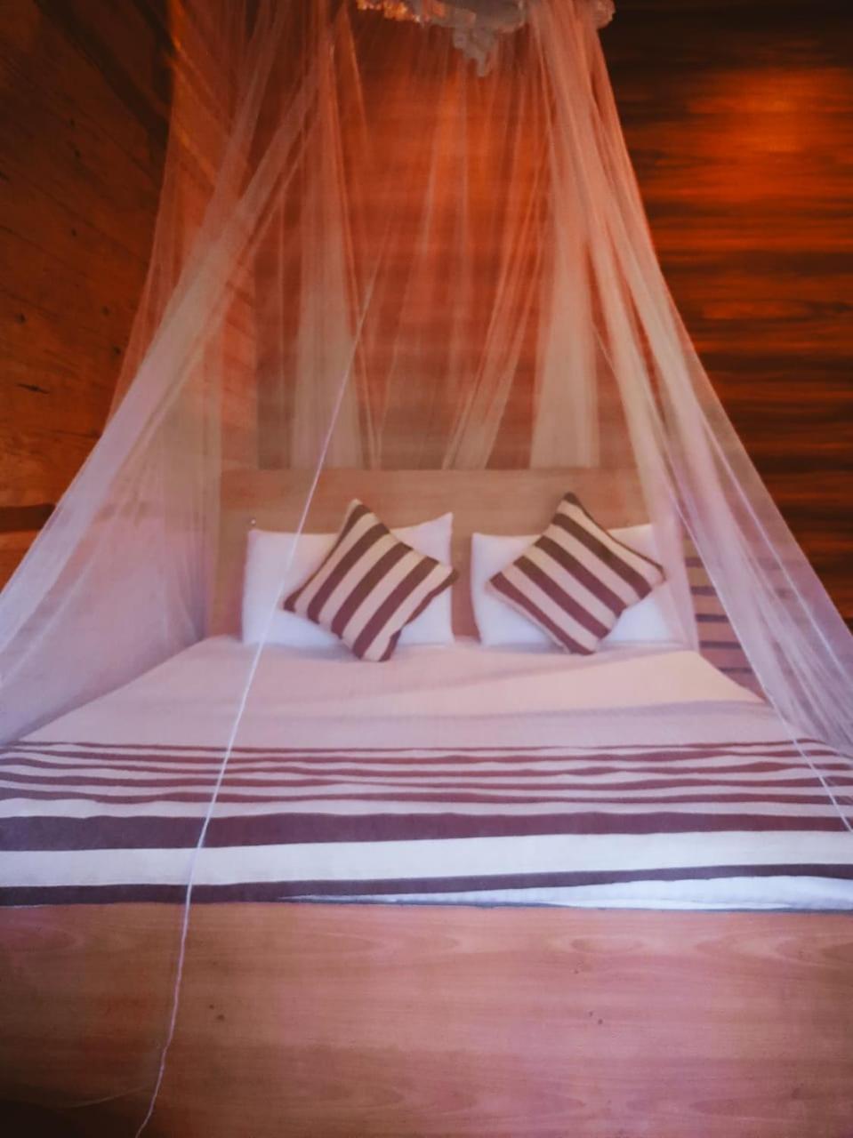 Talblick Homestay 엘라 외부 사진